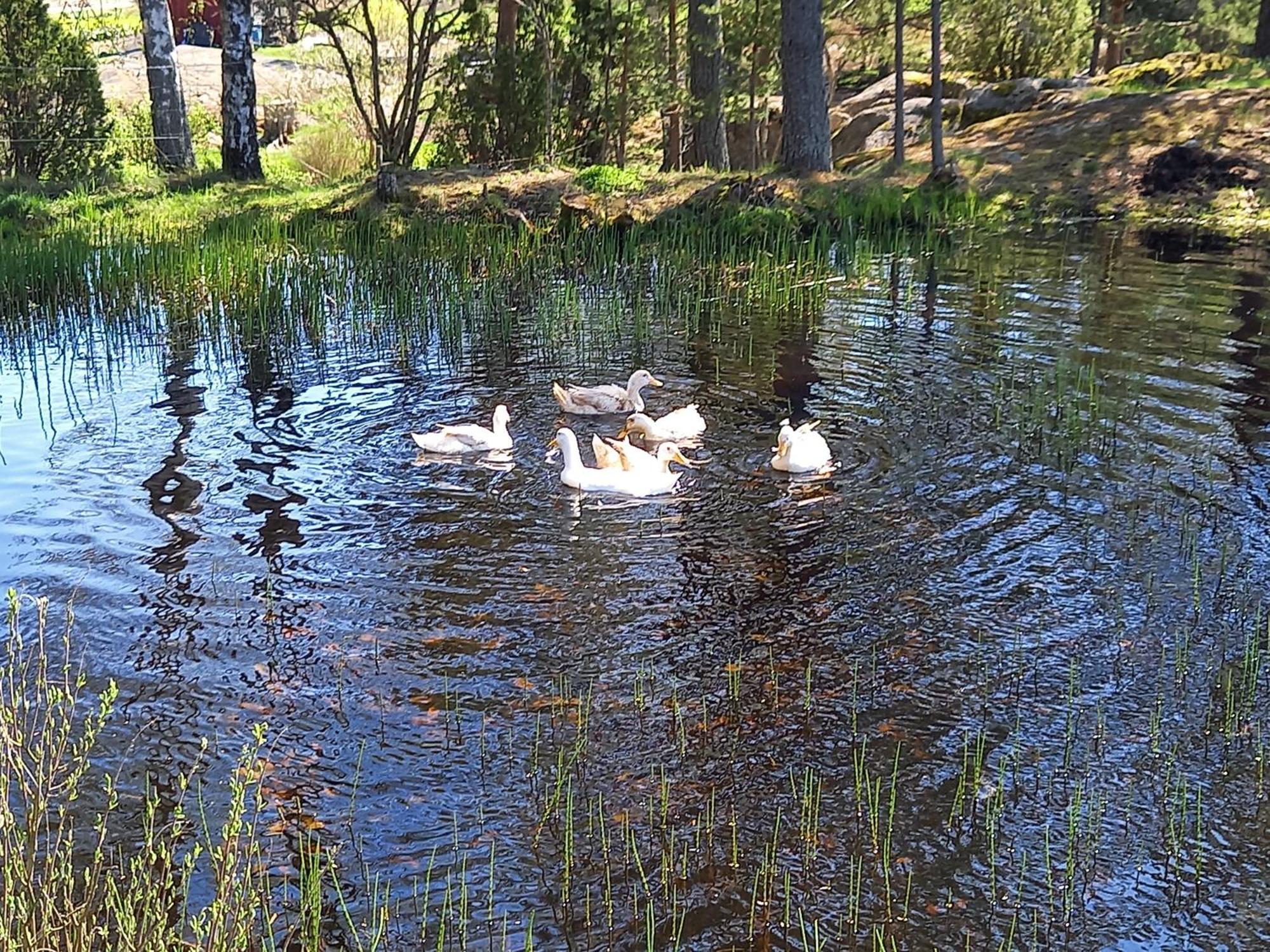 Sommaroe Stugor Föglö Exterior foto